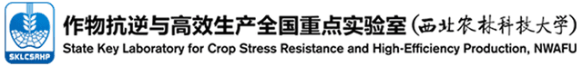 State Key Laboratory for Crop Stress Resistance and High-Efficiency Production